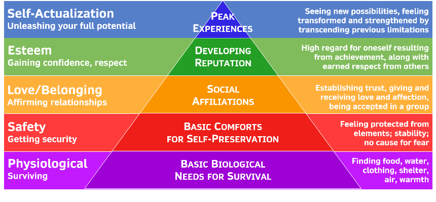 hierarchy of genius